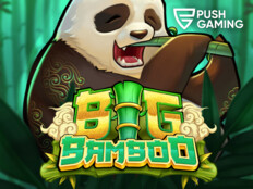 Rembrandt casino bonus code52